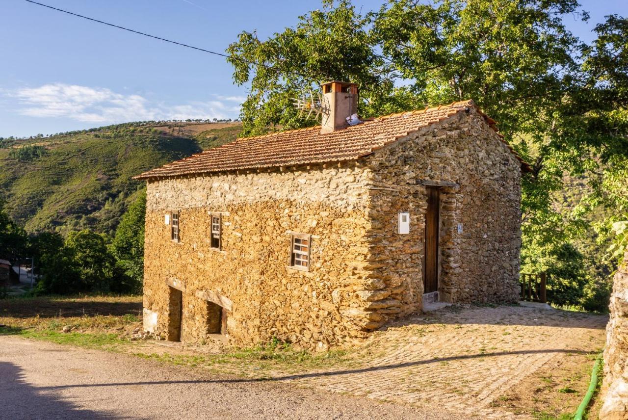Casa Da Corrica - Alojamento Local Negreda Екстериор снимка